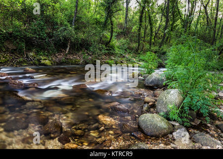 Garganta de Pedro Chate. Paesaggio vicino jaraiz de la Vera, Caceres. Extremadura. Spagna. Foto Stock