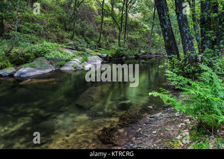 Garganta de Pedro Chate. Paesaggio vicino jaraiz de la Vera, Caceres. Extremadura. Spagna. Foto Stock