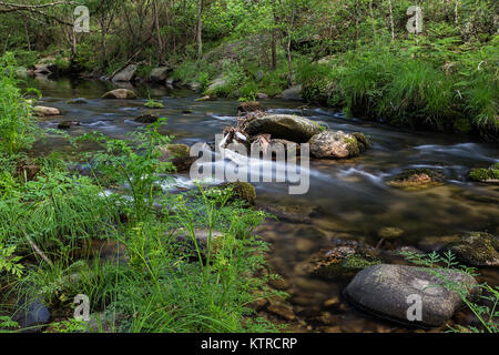 Paesaggio vicino jaraiz de la Vera, Caceres. Extremadura. Spagna. Foto Stock