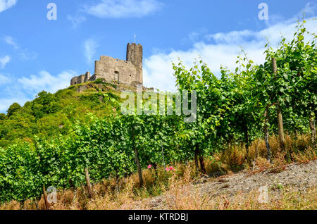 Valle della Mosella Germania: Vista di vigneti e le rovine del castello di Landshut vicino a Bernkastel-Kues, Germania Europa Foto Stock