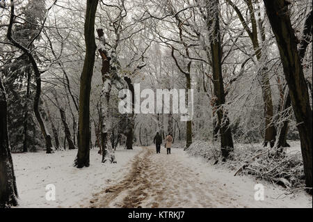 Highgate wood nella neve il 10 dicembre 2017 Foto Stock