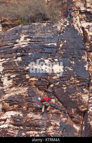 Un rocciatore si inerpica su una parete di pietra arenaria rossa formazioni rocciose presso il Red Rock Canyon National Conservation Area 6 marzo 2010 vicino a Las Vegas, Nevada. Foto Stock