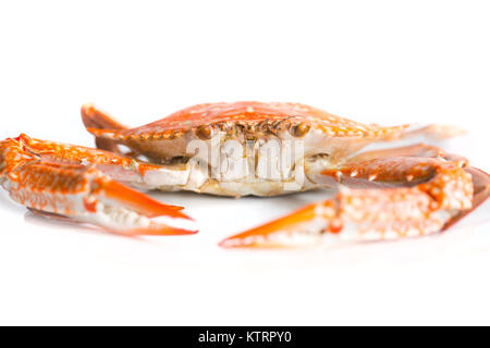 Primo piano volto a granchio isolato su bianco Foto Stock