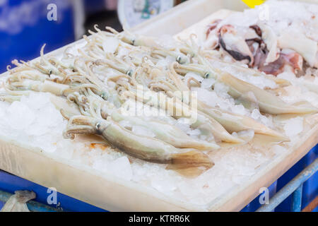 Calamari freschi sulla vendita del ghiaccio in stallo in Mahachai street market grande porto di mare di piatti a base di frutti di mare mercato in Thailandia Foto Stock