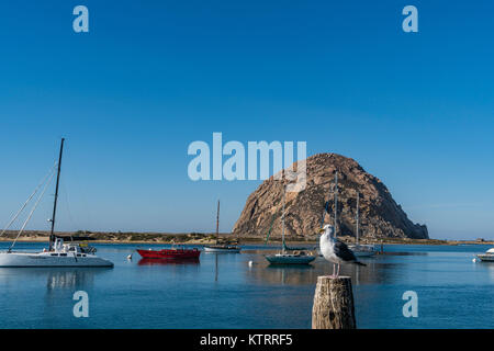 Morro Rock (Salinan: Le'samo, Chumash: Lisamu) è un tappo vulcanica nel Morro Bay, California, sulla costa del Pacifico all'entrata a Morro Bay Harbor. Foto Stock