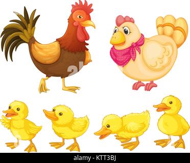 Il gallo, gallina e pulcini su bianco Illustrazione Vettoriale