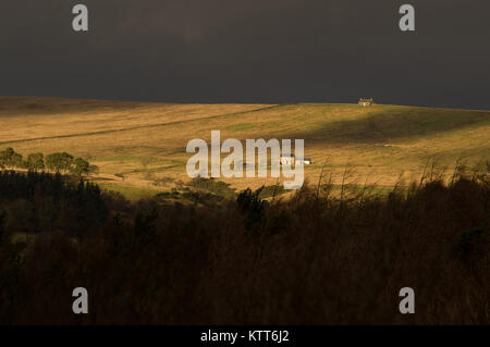 Case coloniche isolate su mori vicino Haltwhistle, Northumberland Foto Stock