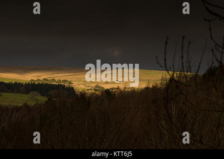 Case coloniche isolate su mori vicino Haltwhistle, Northumberland Foto Stock