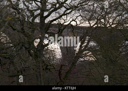 Lambley viadotto sulla South Tyne Trail, Northumberland Foto Stock