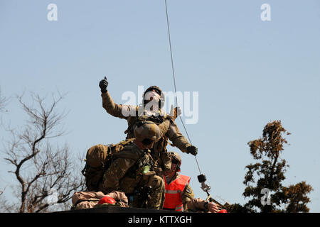 Prugna Island, NY - Pararescue jumper, combattere salvataggio ufficiali e aria membri di equipaggio dalla 106ª Ala di salvataggio condotta casualty il recupero della formazione a prugna isola malattia animale Centro il 13 aprile 2012. (USAF / Senior Airman Christopher S. Muncy / rilasciato) Foto Stock