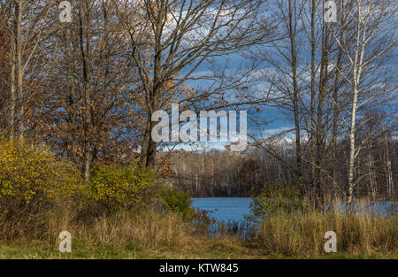 Un sentiero che conduce a un deserto lago nel Wisconsin settentrionale. Foto Stock