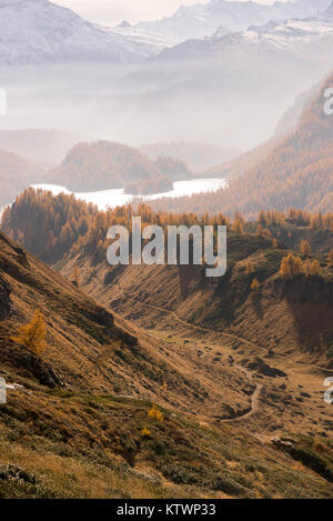 Scenic misty Diga lago paesaggio con la foresta di larici sulla montagna in sunny autumn fall giorno all'aperto. Foto Stock