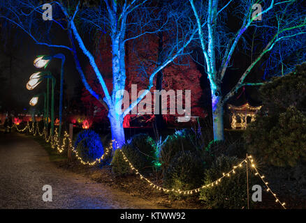 Albero di natale luci e pagoda a RHS Wisley Gardens, Surrey, Inghilterra. Natale Glow Festival 2017 Foto Stock