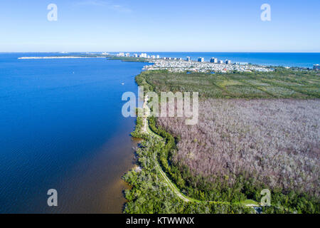 Jensen Beach Florida, Indian River Ecological Lagoon, Water, Hutchinson Barrier Island, grande albero muore fuori alberi morti, vista aerea dall'alto, FL17121448d Foto Stock