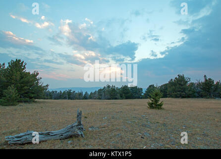 Tramonto sulla tazzina Canyon come visto da Tillett Ridge in Pryor montagne del Wyoming Montana di Stato linea - Stati Uniti Foto Stock