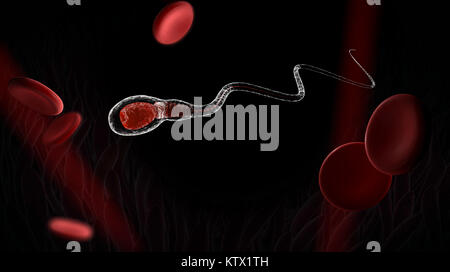 3D rendering sperma con cellule ematiche, isolati su nero. Foto Stock