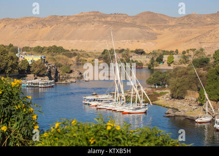 Feluche sul fiume Nilo e Aswan, Alto Egitto Egitto, Africa Settentrionale, Africa Foto Stock