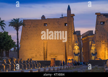 Viale di sfingi, Tempio di Luxor, Sito Patrimonio Mondiale dell'UNESCO, Luxor, Egitto, Africa Settentrionale, Africa Foto Stock