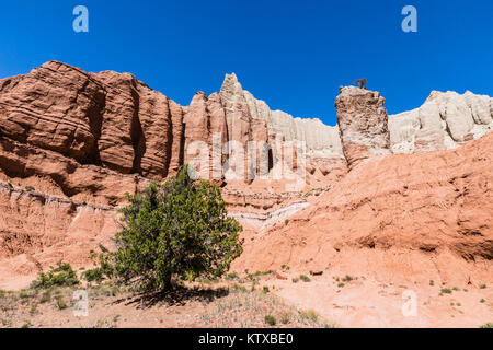 Il Red Rock formazioni di arenaria sul Grand Parade Trail, Kodachrome Basin Parco Statale, Utah, Stati Uniti d'America, America del Nord Foto Stock