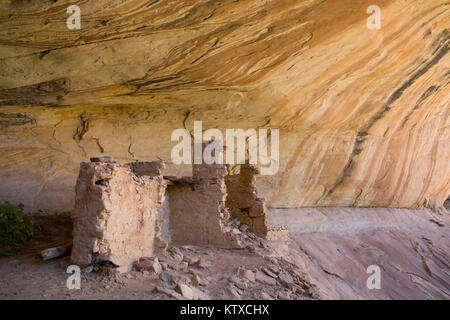 Rovine Anasazi, Monarch Grotta, il maggiordomo lavaggio, vicino a Bluff, Utah, Stati Uniti d'America, America del Nord Foto Stock