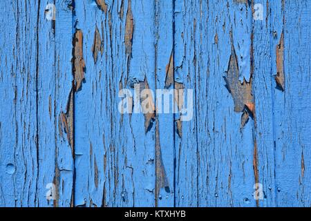 Sfondo blu. Blu texture di legno. Il legno vecchio texture. Foto Stock