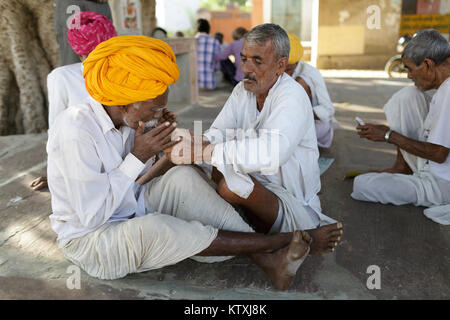 Indian uomini con baffi nel tradizionale abito bianco indossando turbante, fumatori di sigari e giocare a carte, villaggio nei pressi di Pushkar, Rajasthan, India. Foto Stock