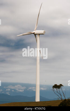 Wind Farm affacciato Toora in South Gippsland, Victoria, Australia Foto Stock