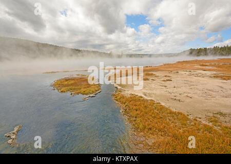 La mattina presto vapore e la nebbia in un intricato Creek nel Parco Nazionale di Yellowstone in Wyoming Foto Stock