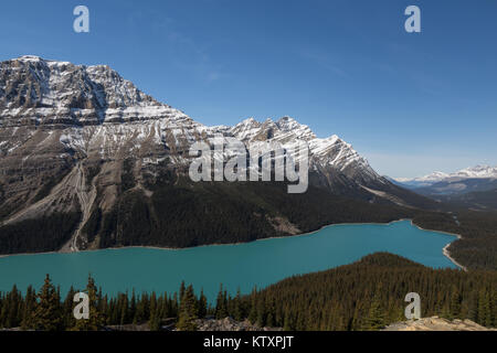 Il Lago Peyto nelle Montagne Rocciose Canadesi, Alberta, Canada Foto Stock