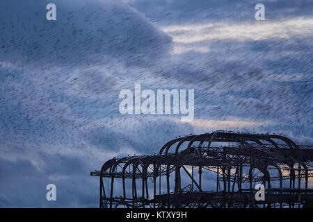 Starling Murmuration battenti nel gregge oltre il Molo Ovest di Brighton, Sussex. Parte del molo di colpo, con i gabbiani seduta su di esso. Sfocatura del movimento degli uccelli in volo. Foto Stock