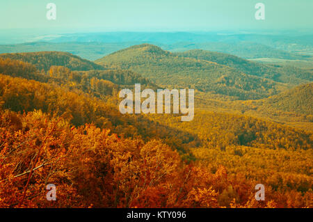 Autunno o caduta forest view in montagna, boschi di latifoglie paesaggio Foto Stock