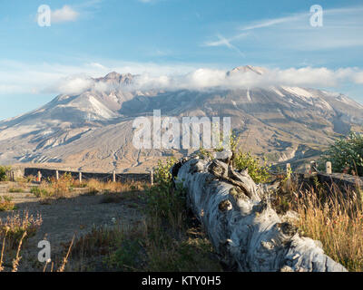 Monte St Helens nello Stato di Washington. Foto Stock
