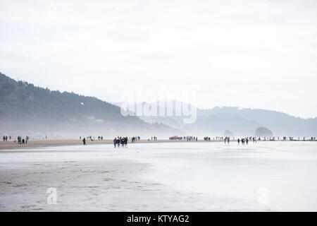 Giovani fulvo cani colorato che corre lungo l'acqua su Oregon Coast Foto Stock