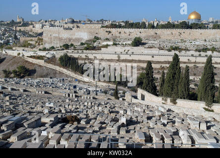 Vista di Gerusalemme, una foto in formato panorama della città vecchia, di fronte alberi e pietre tombali, Israele. Foto Stock