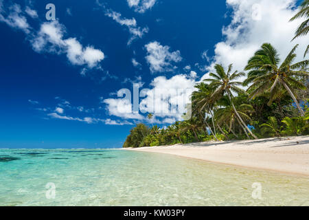 Spiaggia con palme, Isole Cook Foto Stock