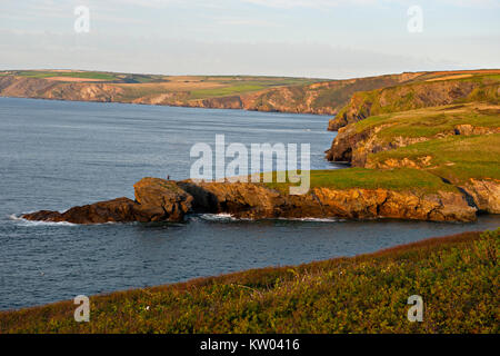 Il North Cornwall costa vicino a Port Isaac guardando verso Porto Gavern Foto Stock