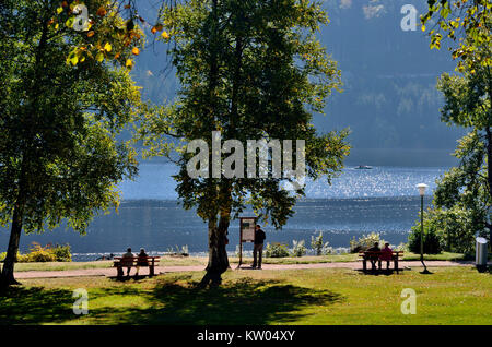 Titisee, health resort park resort per la salute di Titisee, Kurpark Kurort Titisee Foto Stock