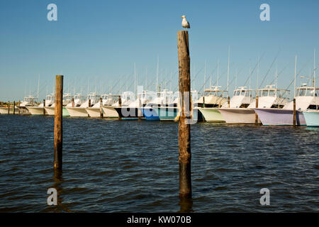 NC01165-00...North Carolina - una fila di noleggio barche da pesca moared presso la Oregon Marina di ingresso. Foto Stock