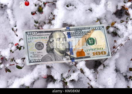 Un dollaro 100 dollari di Stati Uniti che stabilisce nella neve - un costo del concetto di inverno, sia per il costo di energia o il costo delle tempeste invernali - storm danni da acqua Foto Stock