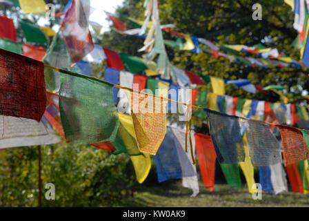 Colore luminoso preghiera tibetano bandiere sono appese tra il verde degli alberi. Foto Stock
