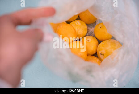 Busta di plastica piena di giallo le prugne dal mercato agricolo Foto Stock