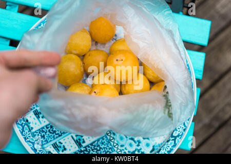 Busta di plastica piena di giallo le prugne dal mercato agricolo Foto Stock