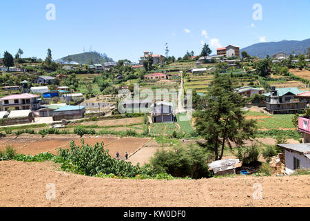 Intensivo di agricoltura di sussistenza nei pressi di Nuwara Eliya, provincia centrale, Sri Lanka, Asia Foto Stock