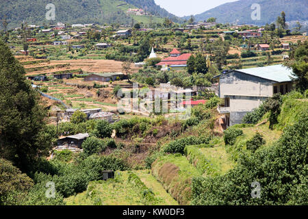 Intensivo di agricoltura di sussistenza nei pressi di Nuwara Eliya, provincia centrale, Sri Lanka, Asia Foto Stock