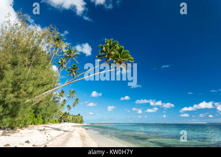Spiaggia con palme, Isole Cook Foto Stock