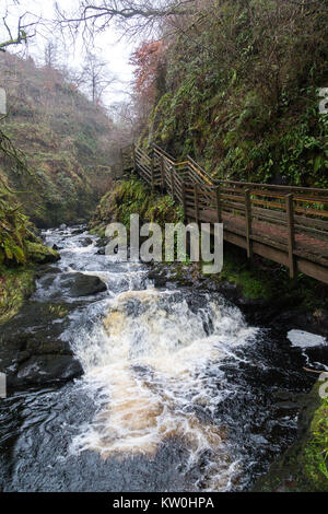 La Cascata boardwak a piedi in Glenariff Forest Park Foto Stock