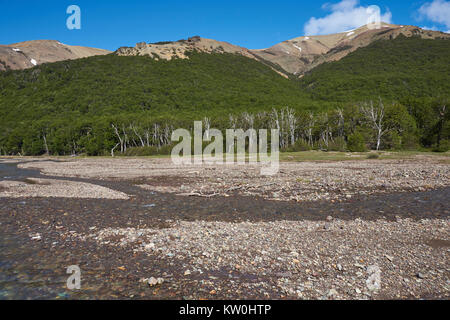 Fiume poco profondo che corre lungo la Carretera Austral quando esso passa attraverso il Cerro Castillo riserva nazionale in Patagonia settentrionale, Cile Foto Stock