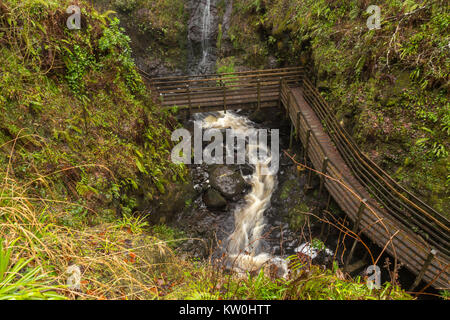 Una cascata accanto a una pista forestale in Glenariff Foto Stock