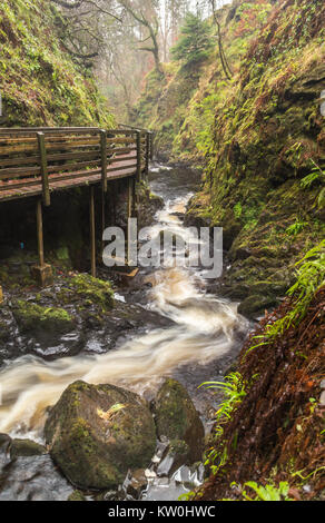 Una cascata accanto a una pista forestale in Glenariff Foto Stock