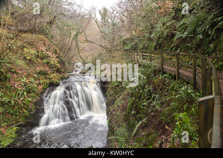 Una cascata accanto a una pista forestale in Glenariff Foto Stock